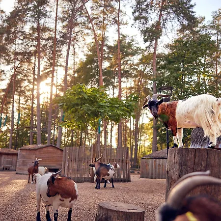 Center Parcs Les Hauts De Bruyeres Chaumont-sur-Tharonne